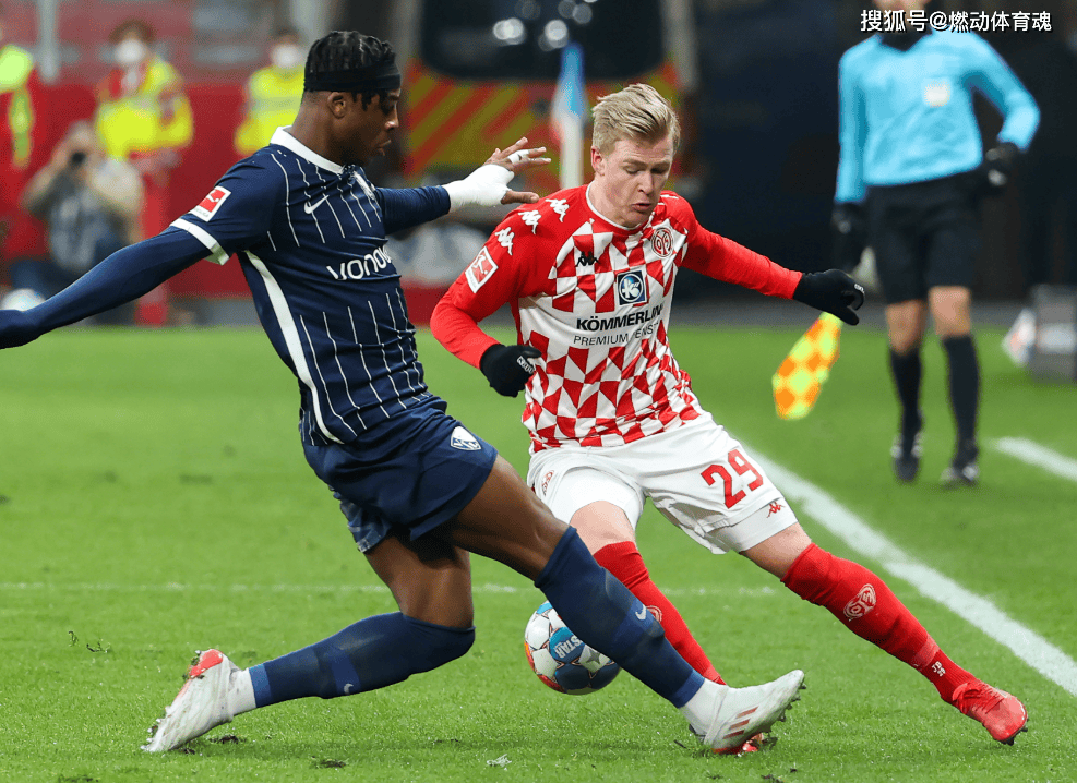 霍芬海姆遭遇连败,德甲争冠形势稍有不妙的简单介绍 霍芬海姆遭遇连败,德甲争冠形势稍有不妙的简单介绍