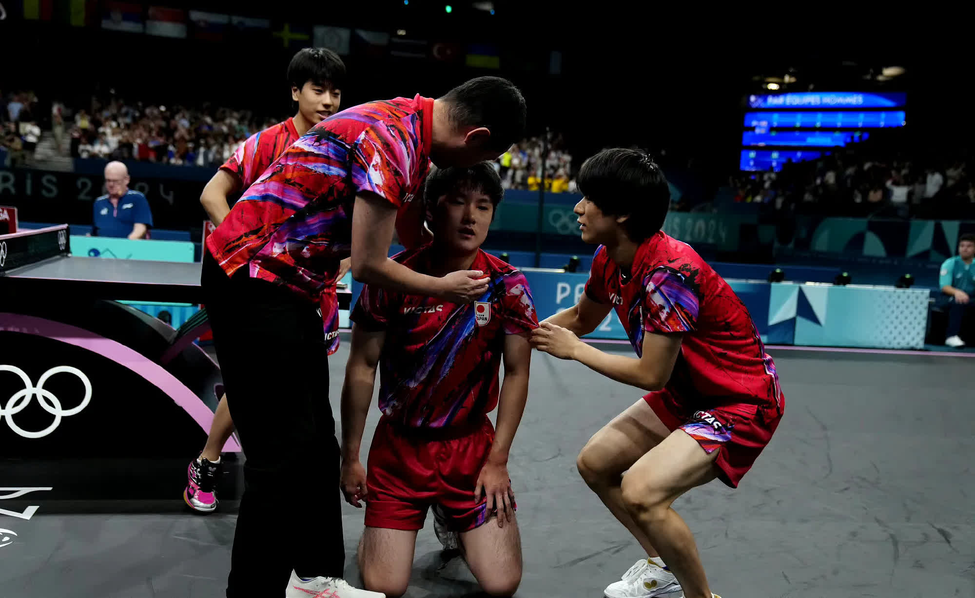 包含瑞典乒乓球队强势比利时乒乓球队，张本智和统治全场的词条