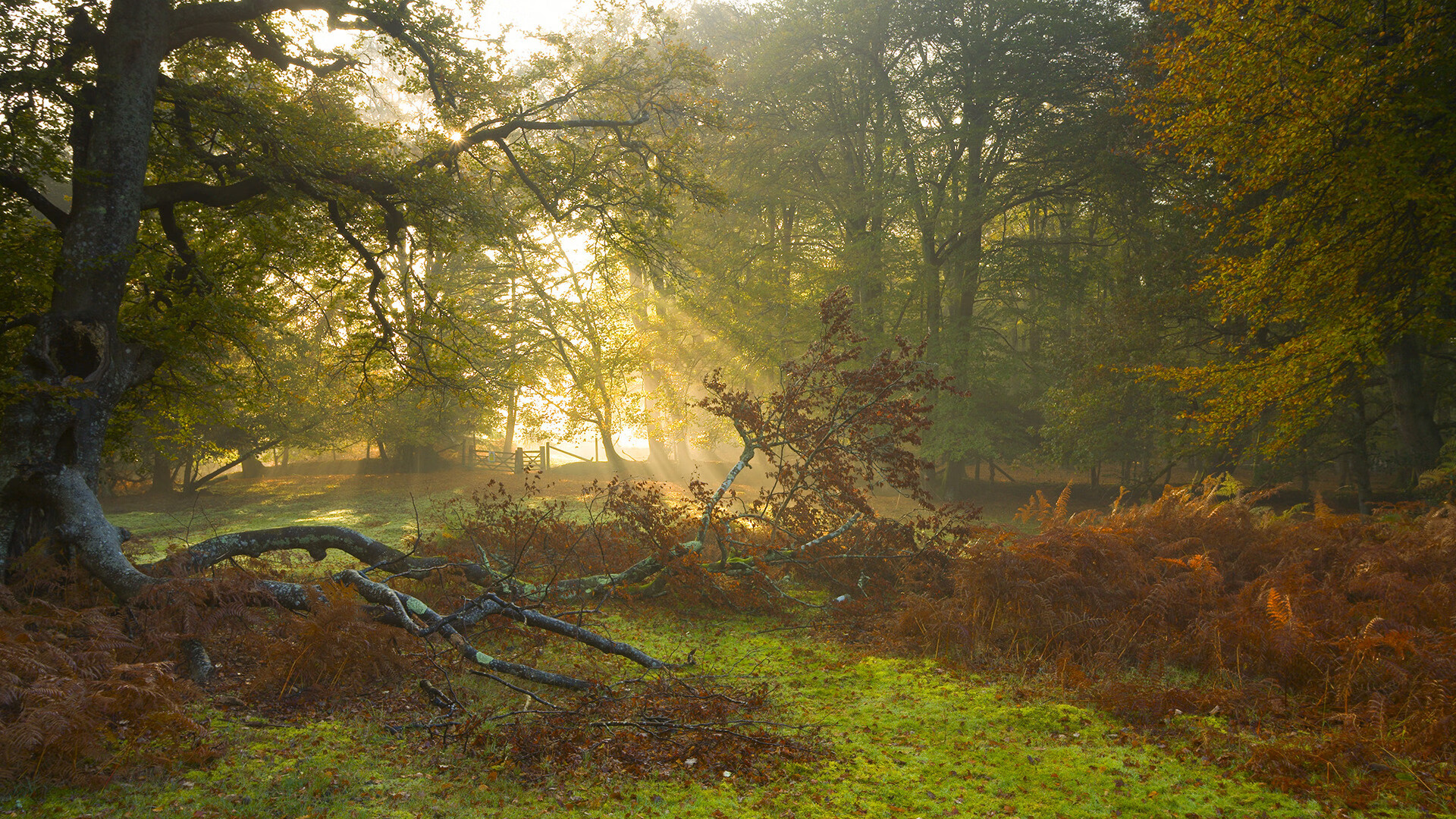 诺坎普的叹息与斯台普斯的铁壁,当国家德比遇见浓眉式防守