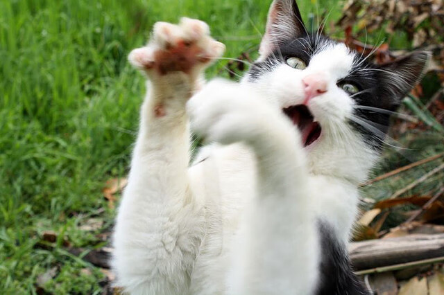 数据之外的碾压,恩比德如何用辽宁式团队篮球给灰熊上了一课