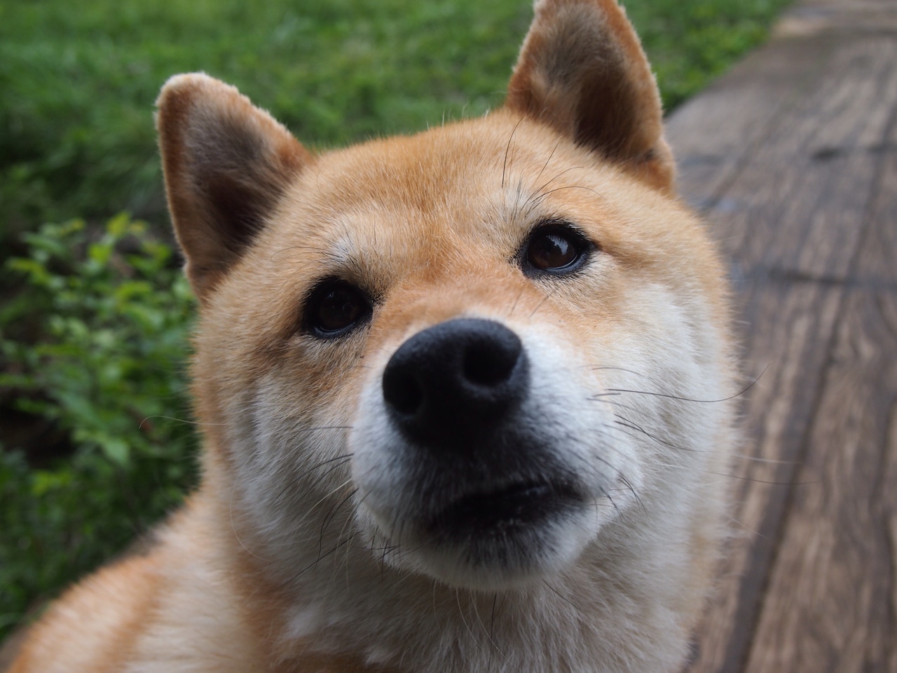 双线焦点，西甲国家德比火星撞地球，山西队决胜步行者夺冠