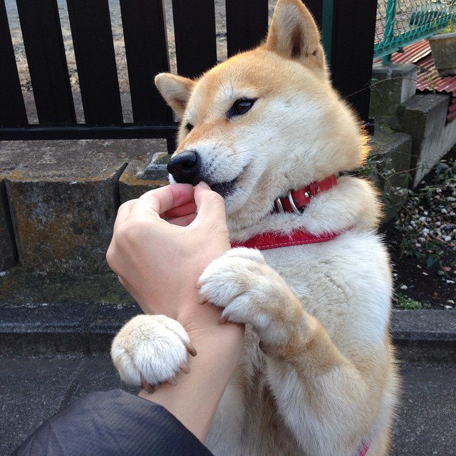 穆勒魔术，当德意志铁血在葡萄牙战袍中苏醒