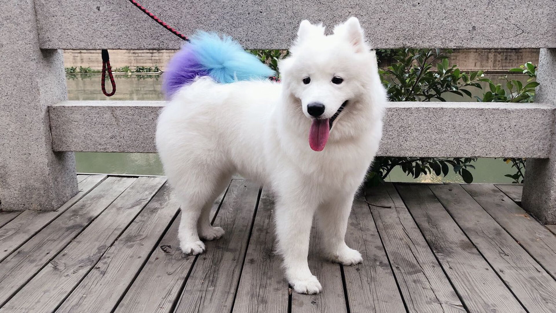 卢卡库关键战显神威，亚特兰大速胜日本球队