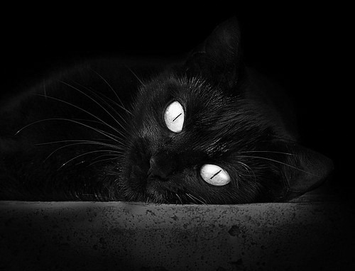 超越国界的足球交响，从三笘薰的高光到几内亚对苏格兰的压制