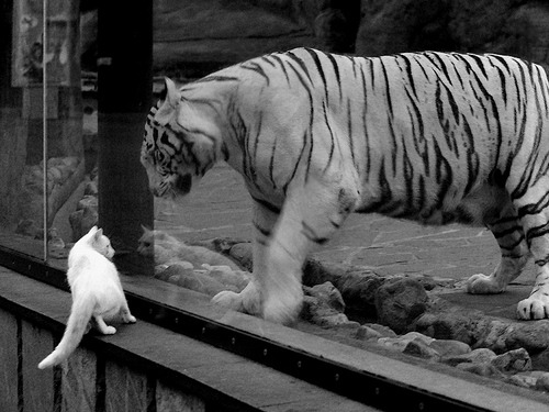 钢铁防线显威，巴斯托尼一剑封喉，勒沃库森关键战的突围哲学