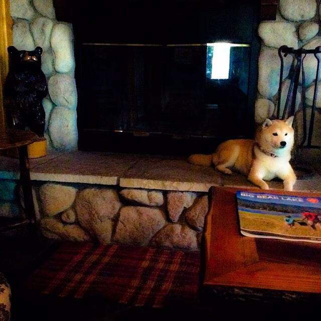 战术铁壁与关键先生,活塞战术压制下的詹姆斯制胜之道