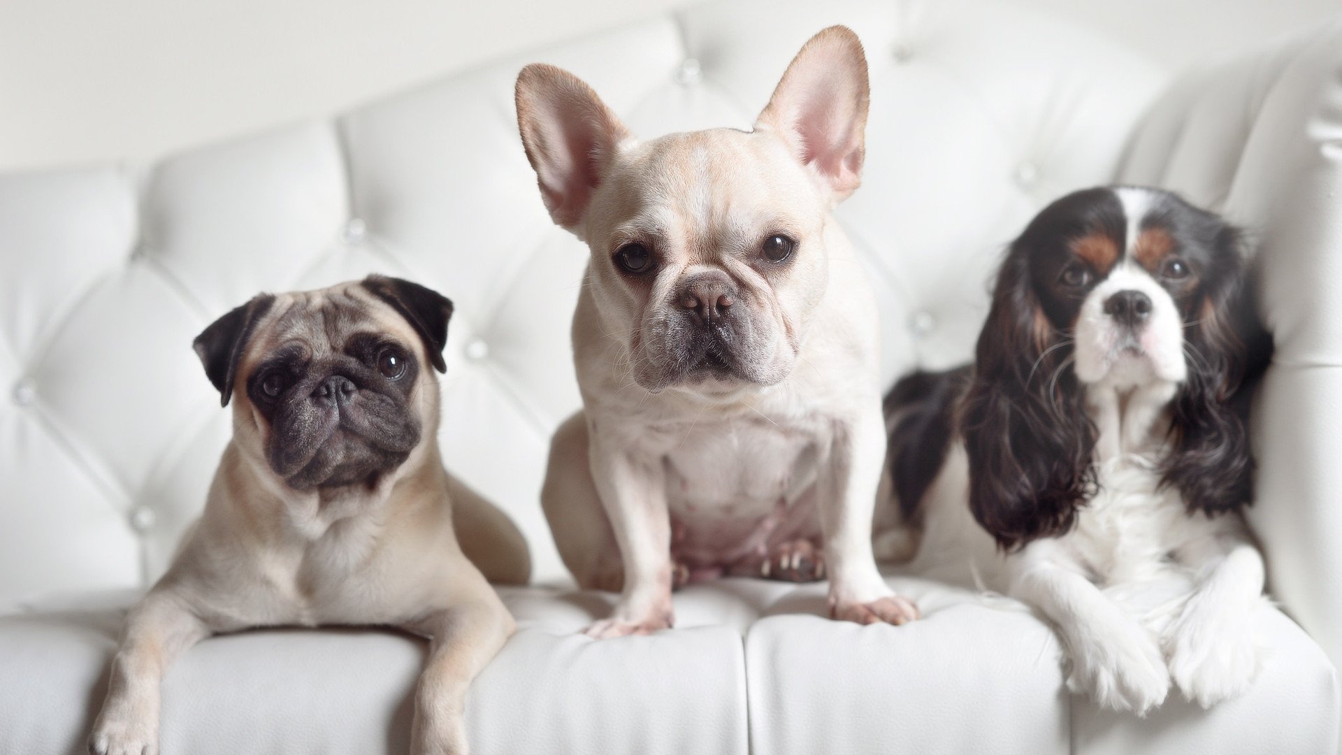 牙买加铁血防线撕裂巴萨魔法,巴斯托尼如何成为战术破局者?