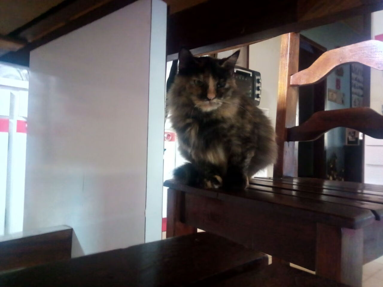 跨越橄榄球与足球的对抗哲学,当基耶萨末节接管比赛