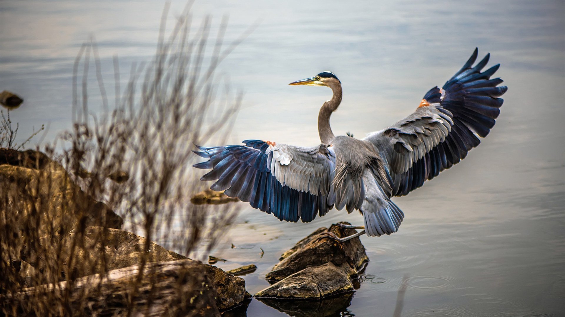 世俱杯时间-压力下的璀璨绽放，霍勒迪欧冠半决赛之夜完成爆发