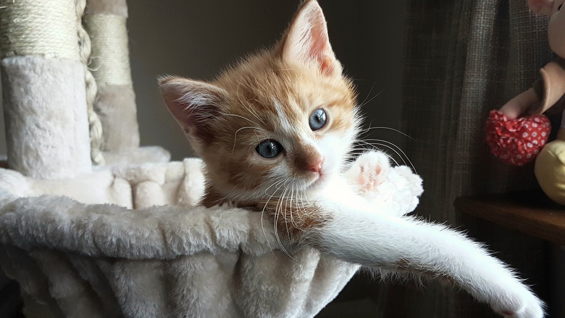 东决关键战之夜，阿克持续制造杀伤的极致艺术