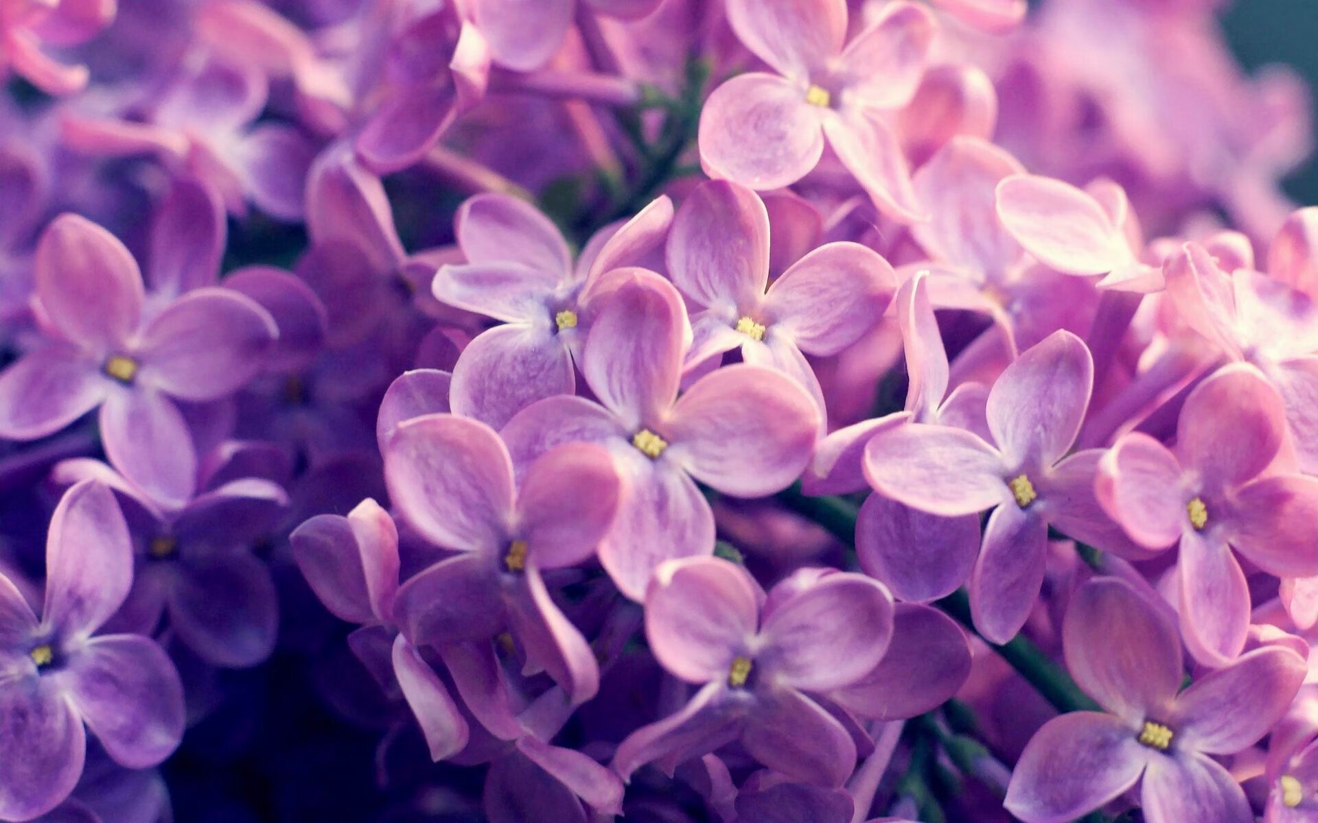 福克斯49分生涯之夜！骑士力克热火