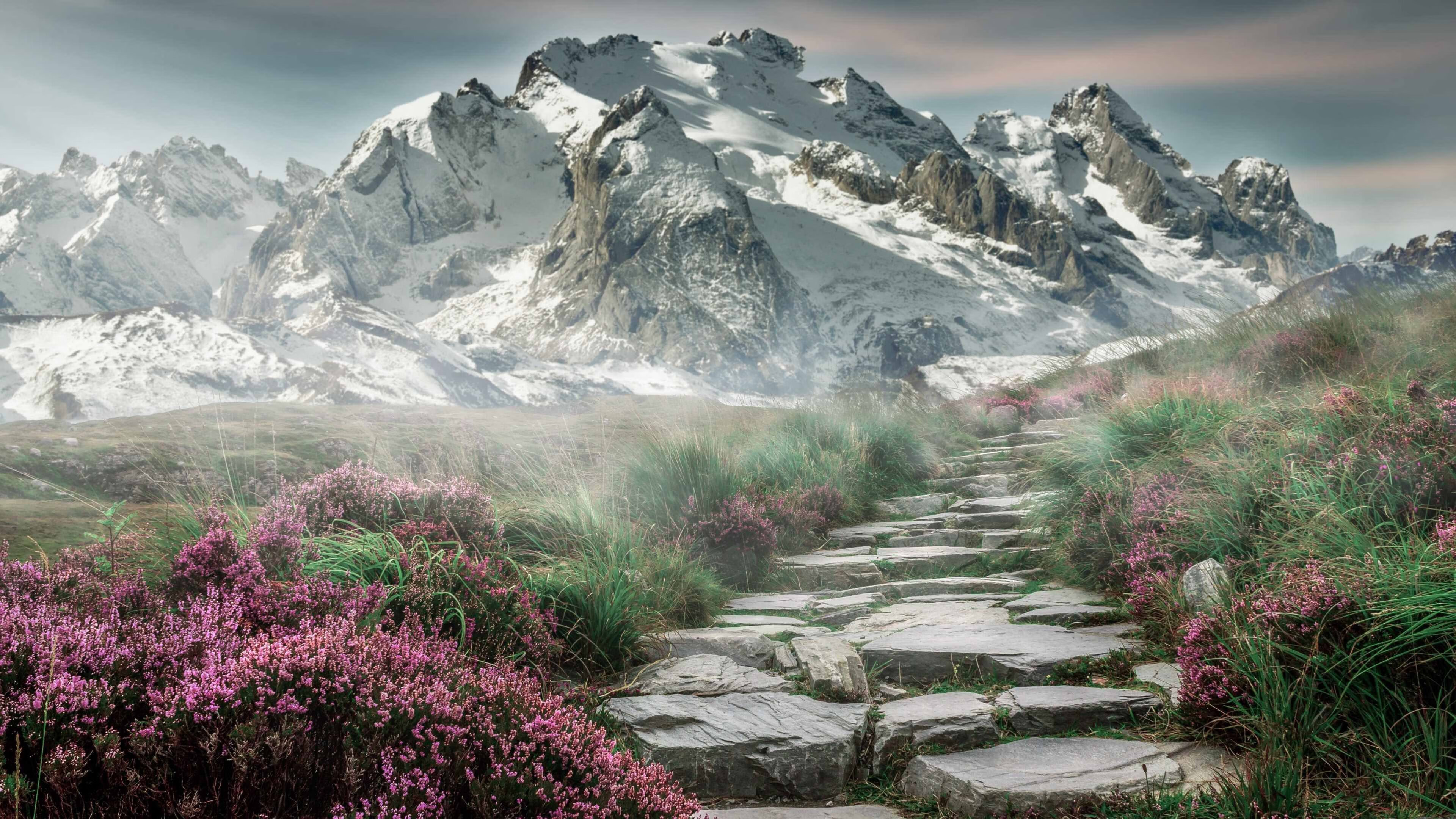 福克斯49分生涯之夜！骑士力克热火