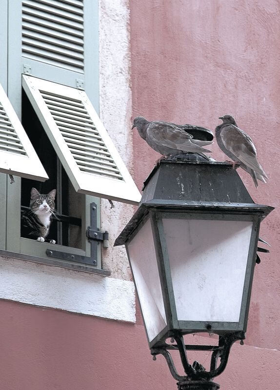 冰冷心脏与烽火奥运夜，当伦纳德选择成为答案