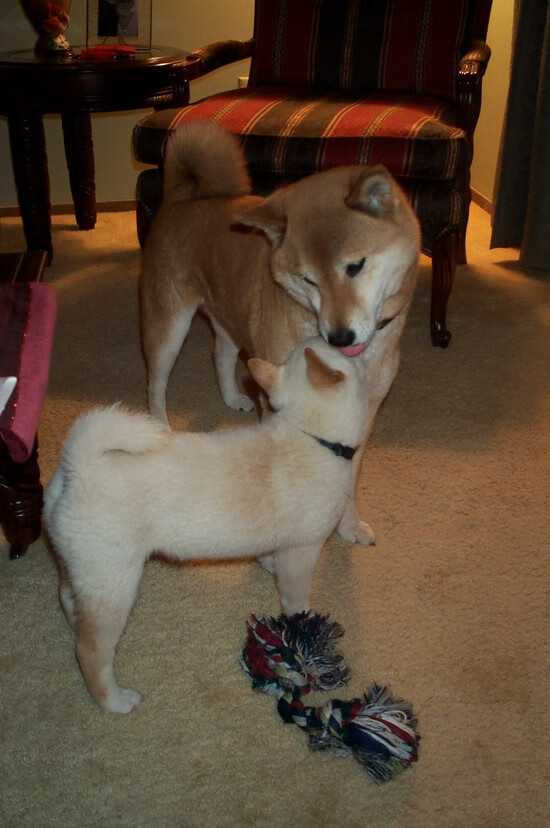 铁闸拉梅洛，山西队窒息式防守锁死浙江猛攻