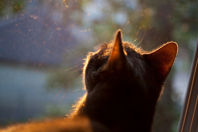 决胜时刻，公牛力克浙江问鼎年度总冠军